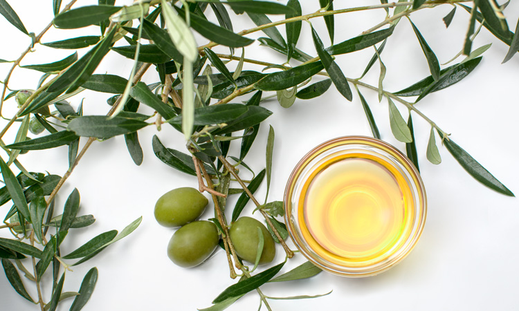 Study finds olive leaf extract can inhibit the growth of foodborne pathogens