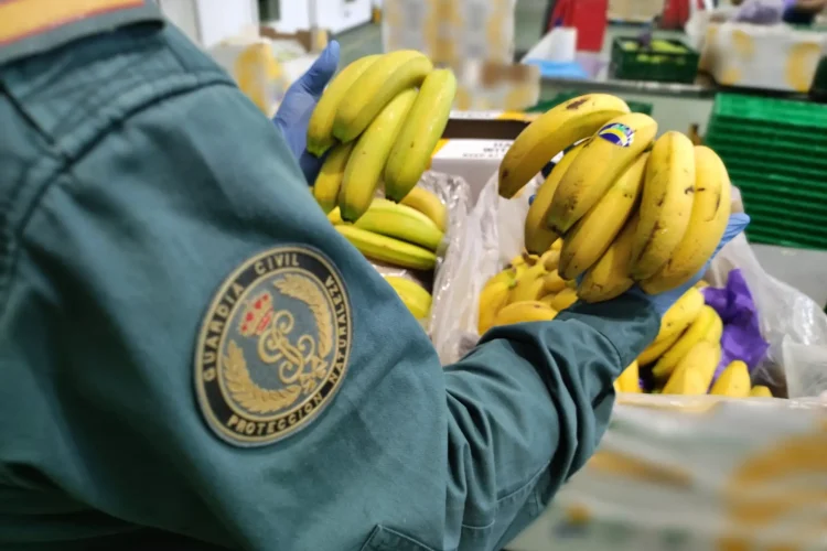 Operation OPSON: the world’s annual stress-test for food crime is sending a louder alarm than ever