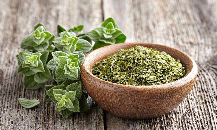 oregano