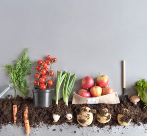 organic food image