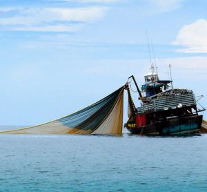 Overfishing image