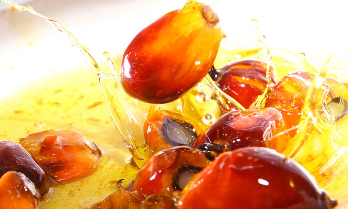 Palm oil