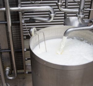 Milk pasteurization: could tuberculosis be slipping into our breakfast bowls?