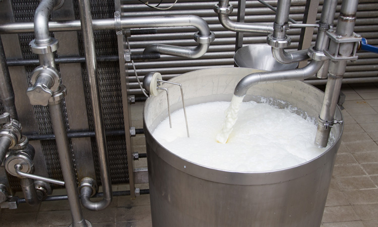 Milk pasteurization: could tuberculosis be slipping into our breakfast bowls?