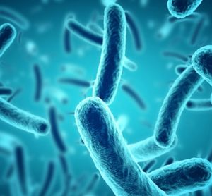 Pathogen contaminants in food