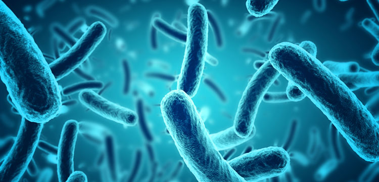 Pathogen contaminants in food