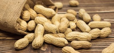 Peanut Allergies