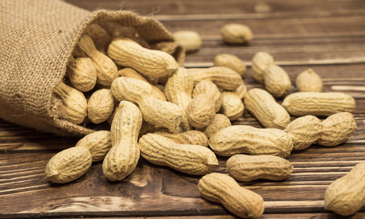 Peanut Allergies