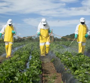 farmers spraying pesticide