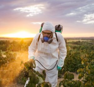 California bans sale of chlorpyrifos