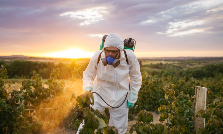 California bans sale of chlorpyrifos