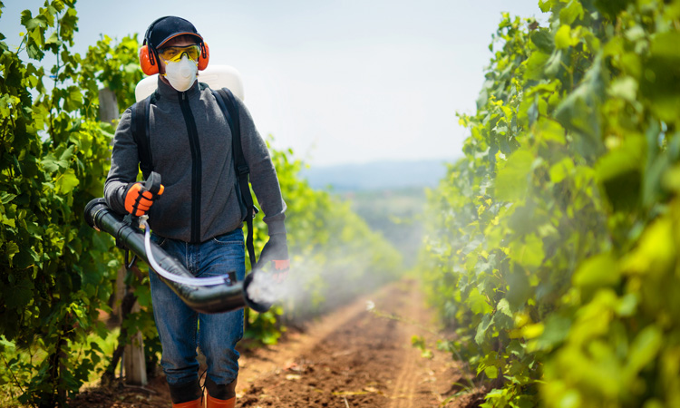 CFS files lawsuit against EPA for re-approval of glyphosate pesticide