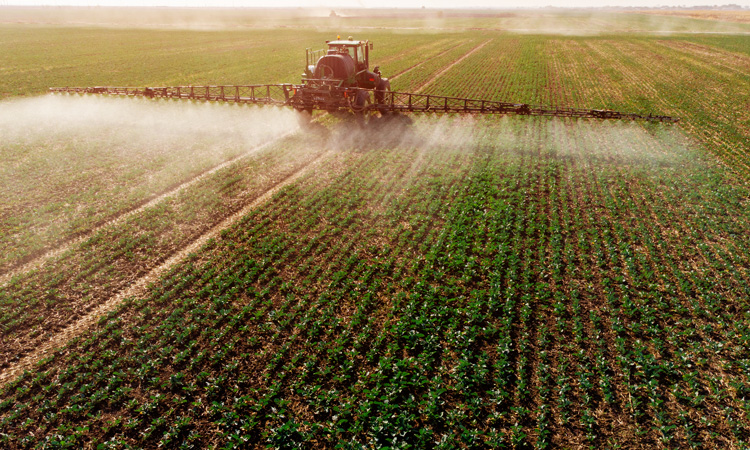 EWG calls for measures to prevent foodborne illnesses and pesticide exposure
