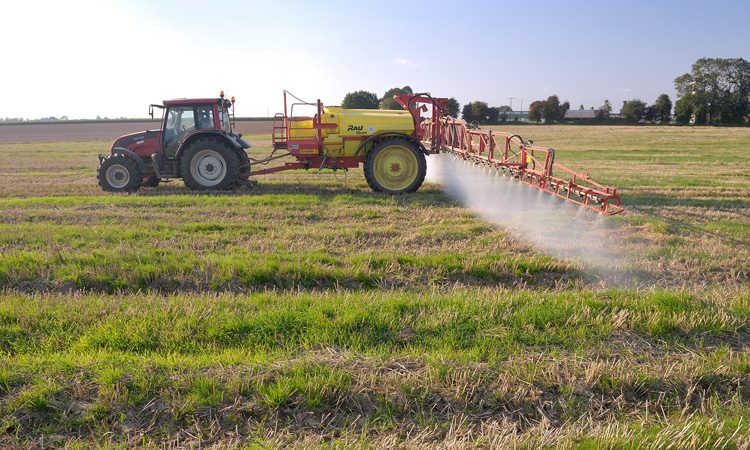 SDHI pesticides sold in France deemed toxic for human cells