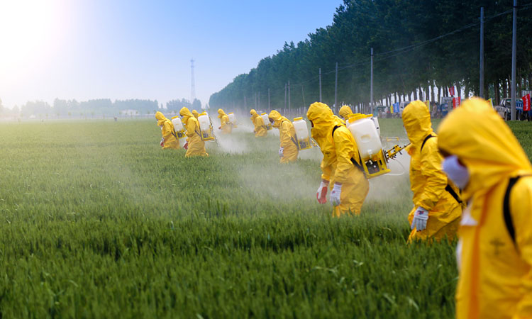 EPA pesticide limits