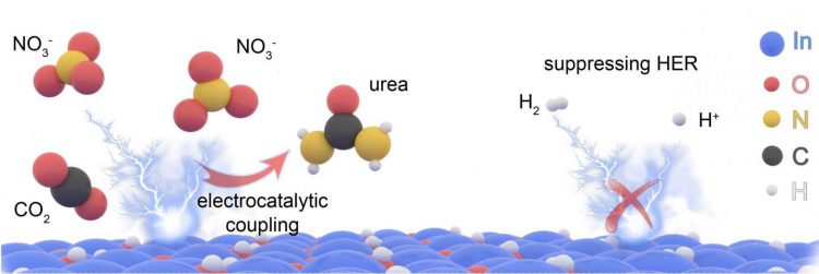 electrocatalytic reaction