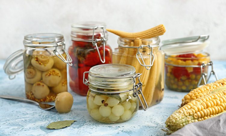 Microbiology of fermented foods