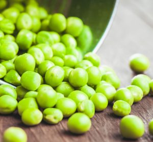 Pea, canola, oat and chickpea plant proteins poised for rapid growth