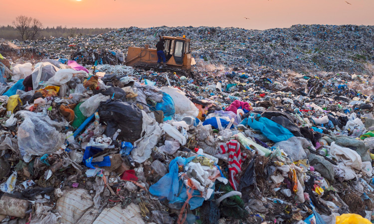 Report models how UK supermarkets can halve throwaway plastic by 2025