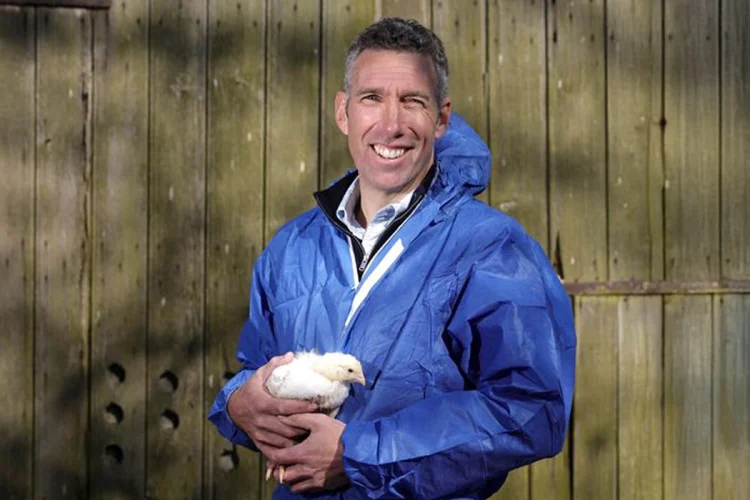 Tesco improves chicken welfare with £50m farming boost