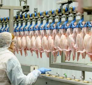 Consumer groups call for modernisation of USDA poultry safety framework