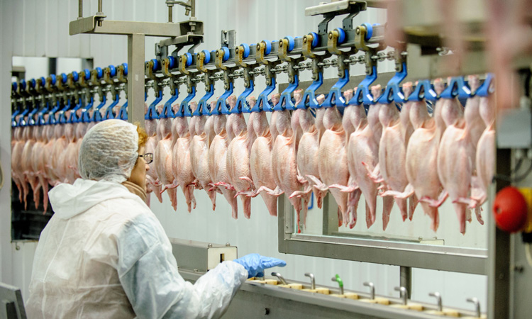 Consumer groups call for modernisation of USDA poultry safety framework