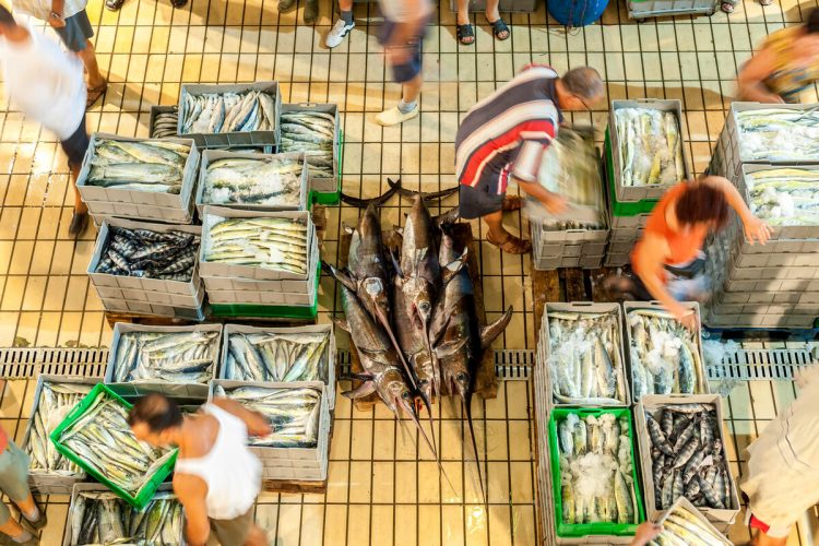 FAO report exposes scale of fish fraud in global seafood supply chains