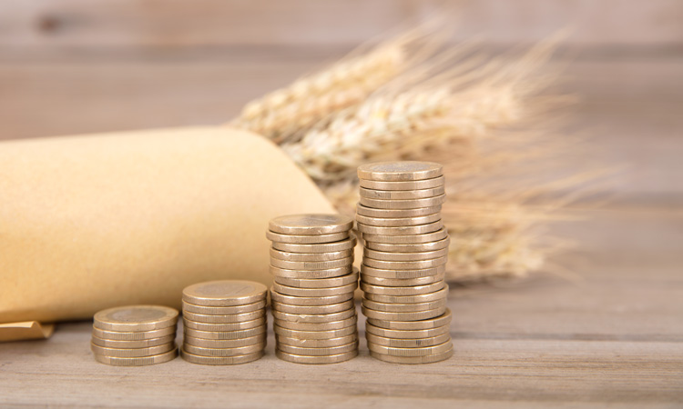 October 2019 rise for global food prices