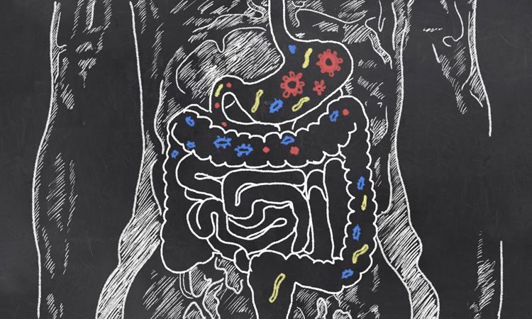 Probiotic drink could offer new way to combat antibiotic resistance