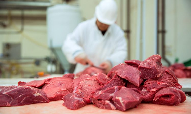 EU beef exports to Korea resume after almost 20 years