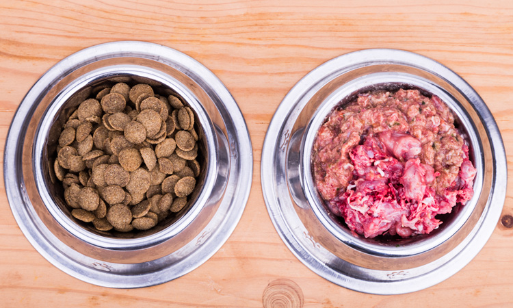 raw pet food