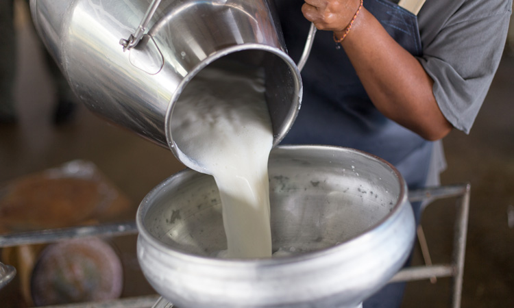 New Zealand directs milk suppliers to stop selling unpasteurised milk