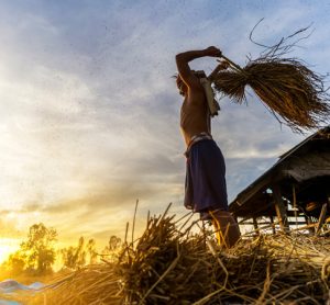 FAO and Rabobank partner to make food systems more sustainable