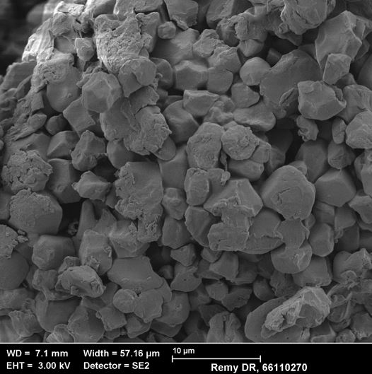 Figure 1: SEM picture of regular rice starch