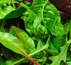 ultrasonic cleaning could make salad safer