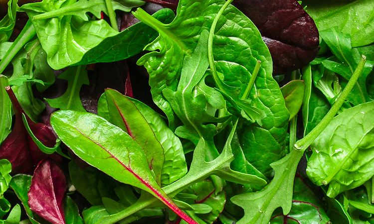 nettoyage ultrasonique pourrait rendre la salade plus sûre