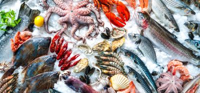 Seafood on ice at the fish market