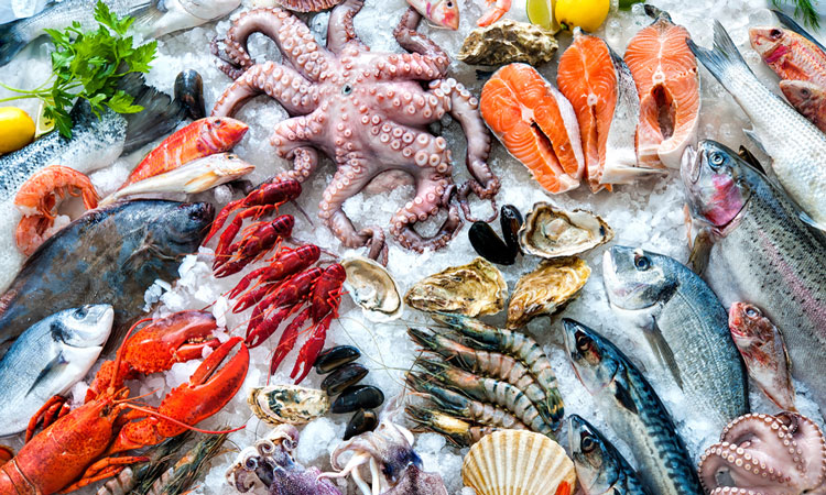 Seafood processing water could be used in food - New Food