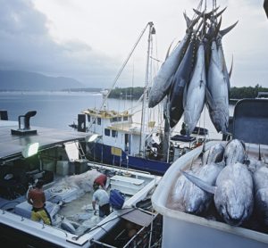 The truth behind seafood sustainability?