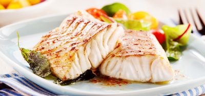 seafood from cells