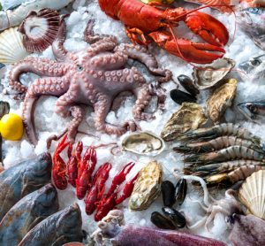 Seafood could account for 25 percent of animal protein needed to meet demand