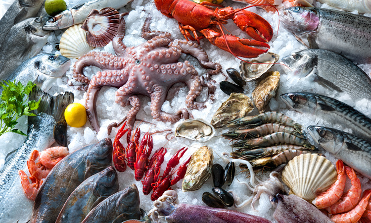 Seafood could account for 25 percent of animal protein needed to meet demand