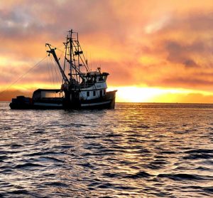 seafood boat on sea