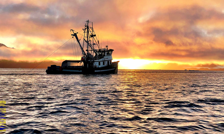 seafood boat on sea