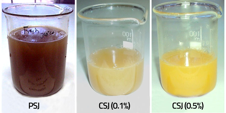 sugarcane juice with preservatives