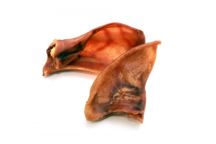 Pig ear