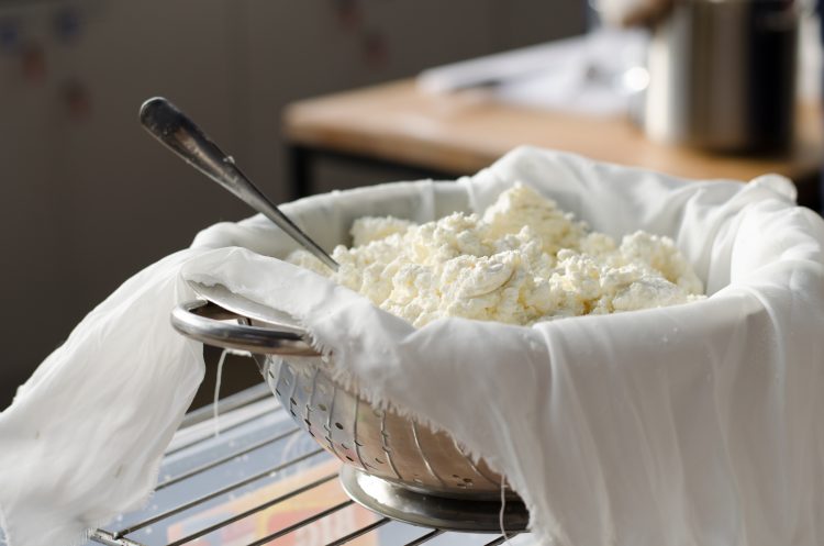 cheese making