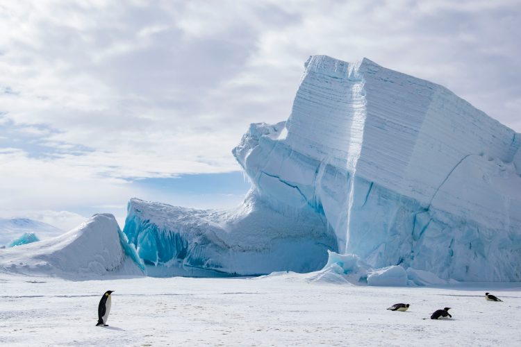 antarctica 