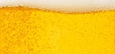 beer