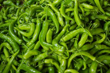 green chillies recalled